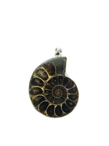 Pendentif Ammonite L'ESSENTIEL FACILE